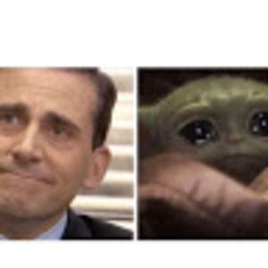 Meet your Posher, Rose